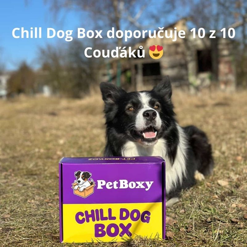 Chill Dog Box