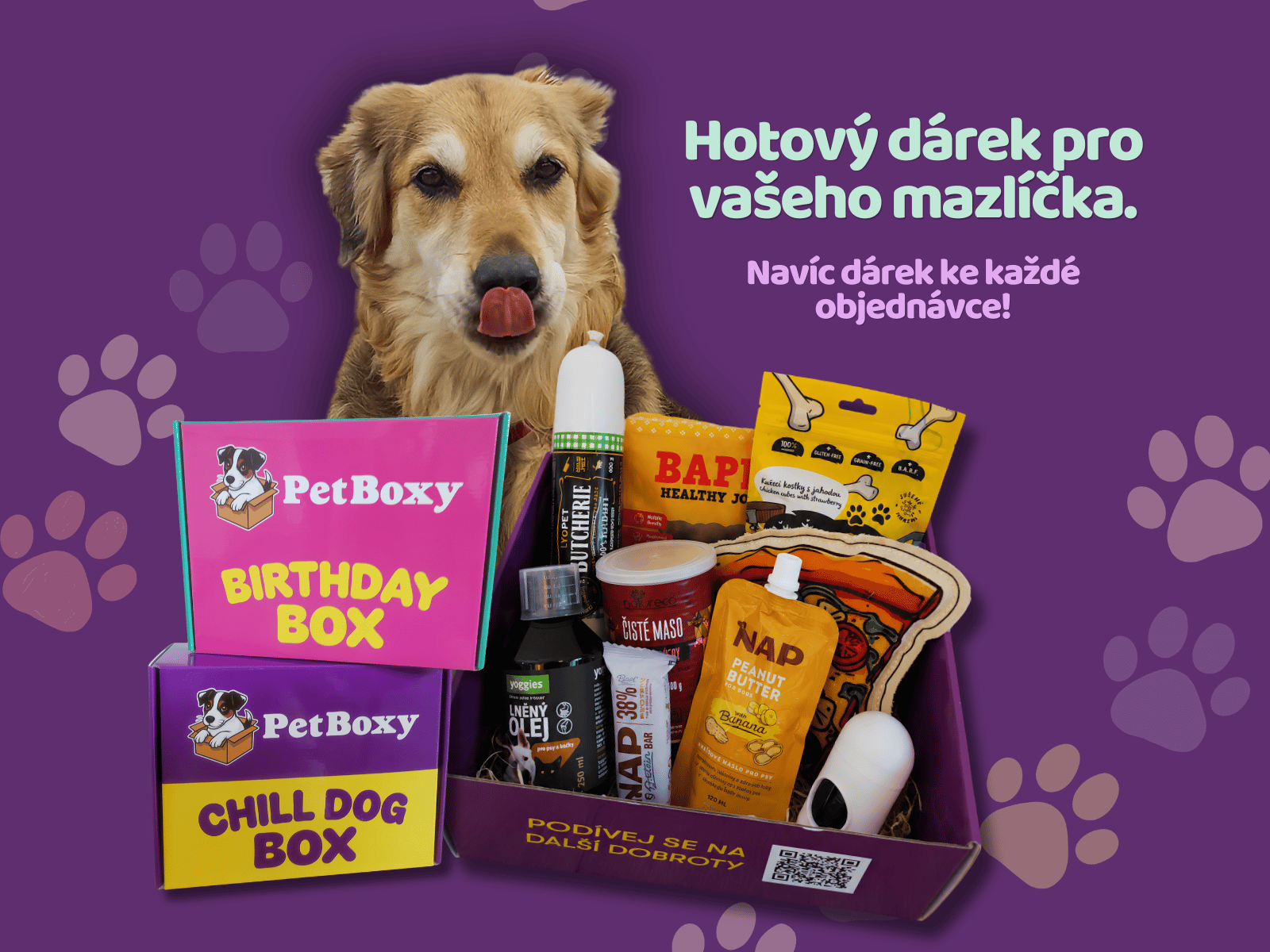 Pes s otevřenými dárkovými Pet-Boxy plnými pamlsků, hraček a doplňků. K objednávce navíc dárek.